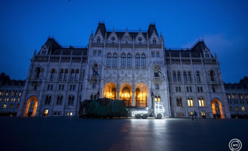 Felállították az ország karácsonyfáját is